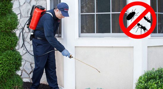 Kale Bit İlaçlama böcek ilaçlama ve haşere kontrolü — ilaclama-tr.com